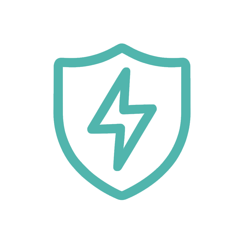 Icon mit einem gezeichneten Schutzschild